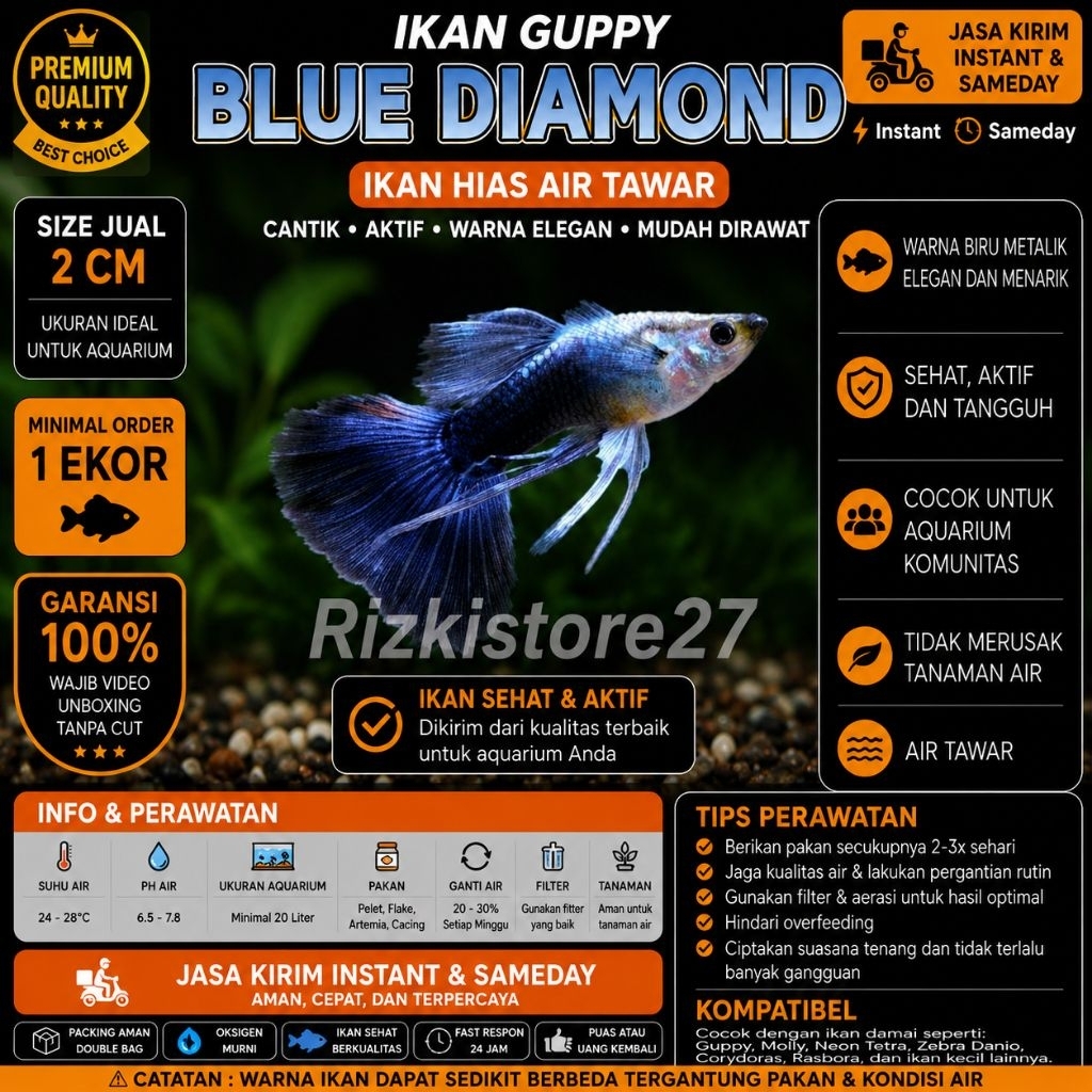 Ikan Guppy Blue Diamond Size 2 Cm Guppy Blue Diamond Aquarium Aquascape