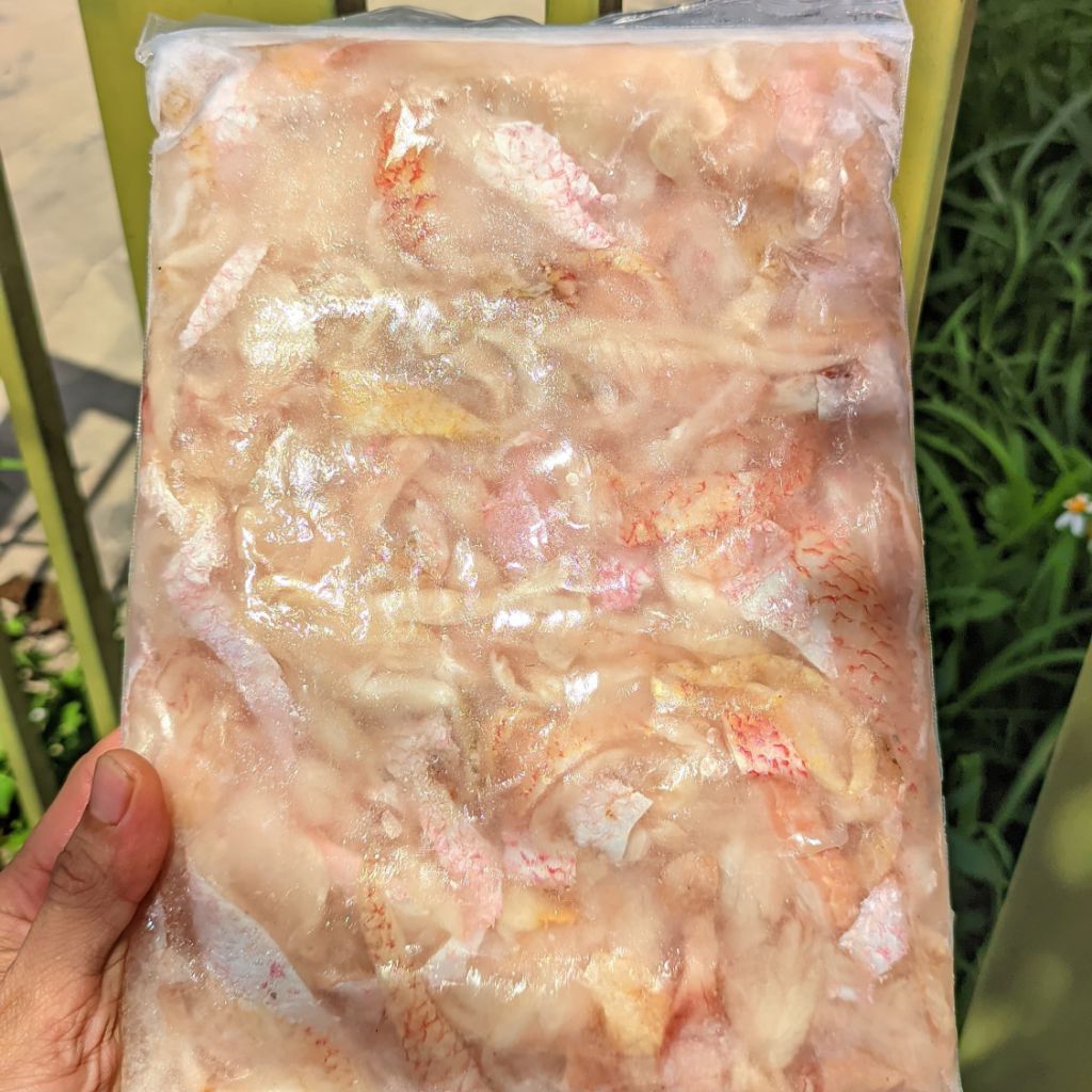 TETELAN IKAN KAKAP MERAH MURAH 1 KG