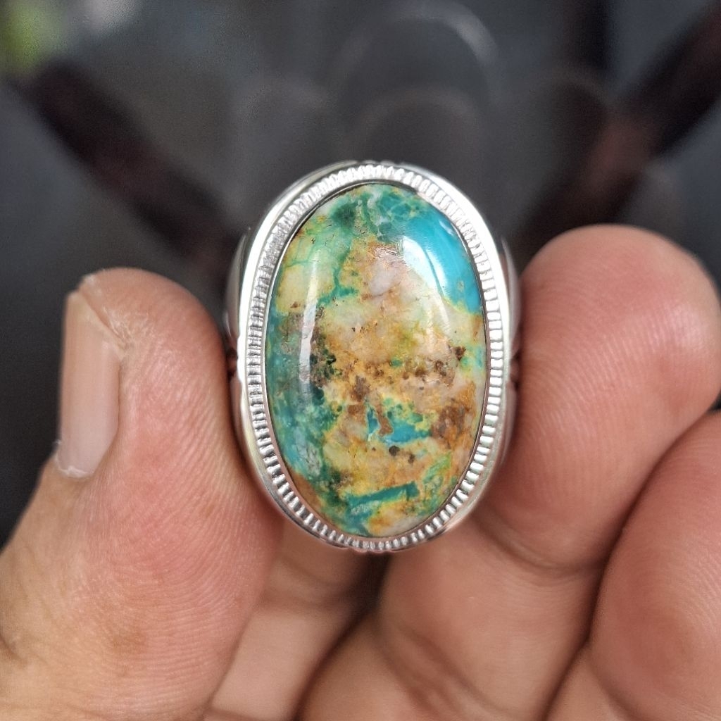 Pirus Persia dim 23x15x9 ( ring monel 8 )