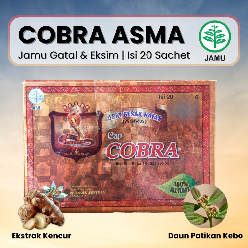 Jamu Cobra Sesak Nafas 20 Bungkus - Mendukung Legakan Pernapasan Asma