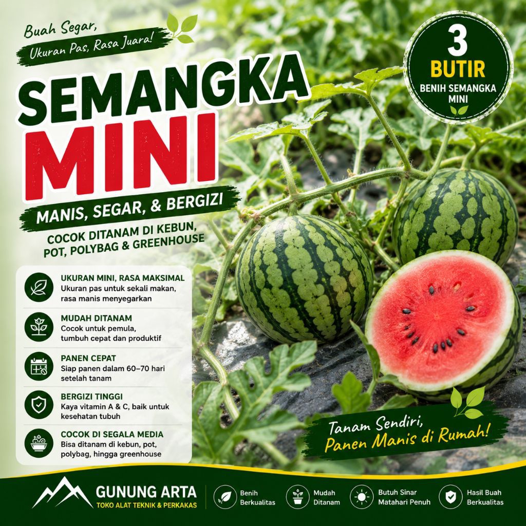 3 Butir Bibit Benih Biji Semangka Mini Bibit Semangka Mini Manis Cepat Panen