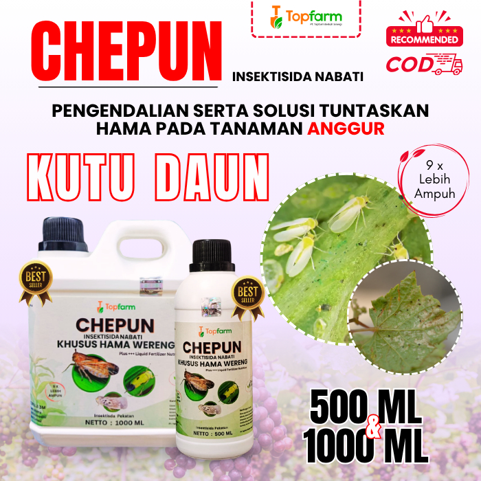 Insektisida Kutu Daun Anggur / Obat Kutu Daun Pohon Anggur / Insektisida Topfarm / Obat Kutu Putih T