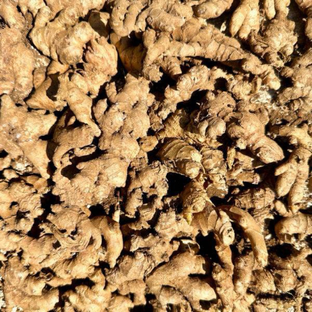 jahe emprit 1 kg