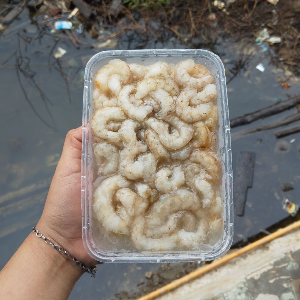 [READY STOCK] Frozen Udang Pukat Kupas Segar - Cup 500ml (Netto 400gr)