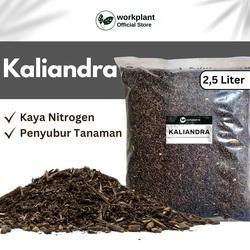 Kaliandra media tanam