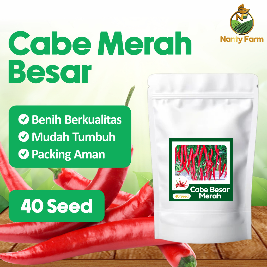 5 Benih Cabai Cabe Besar Merah Lebat - Benih Cabai Benih Cabe