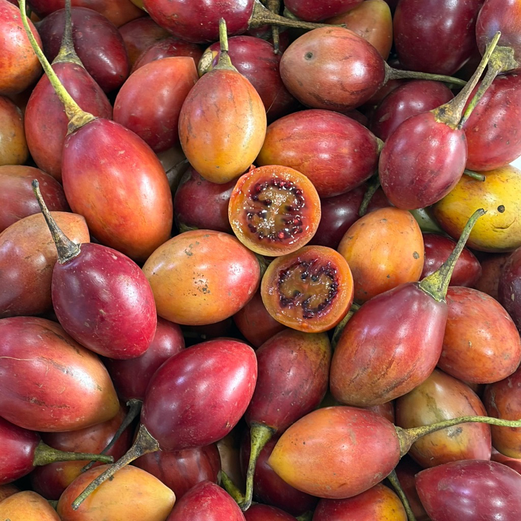 TERONG BELANDA | Jus Buah Terong Belanda