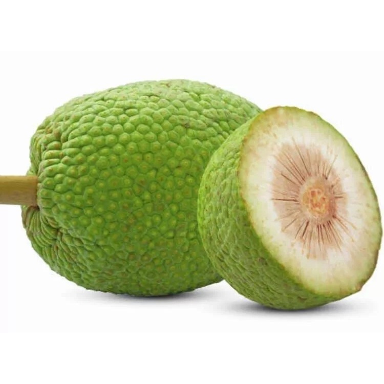 Sukun, sayur sukun, buah sukun