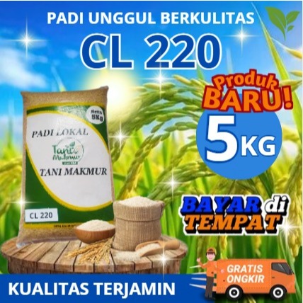 Benih Padi Unggul CL220 / CL284 Bibit Unggul 5kg