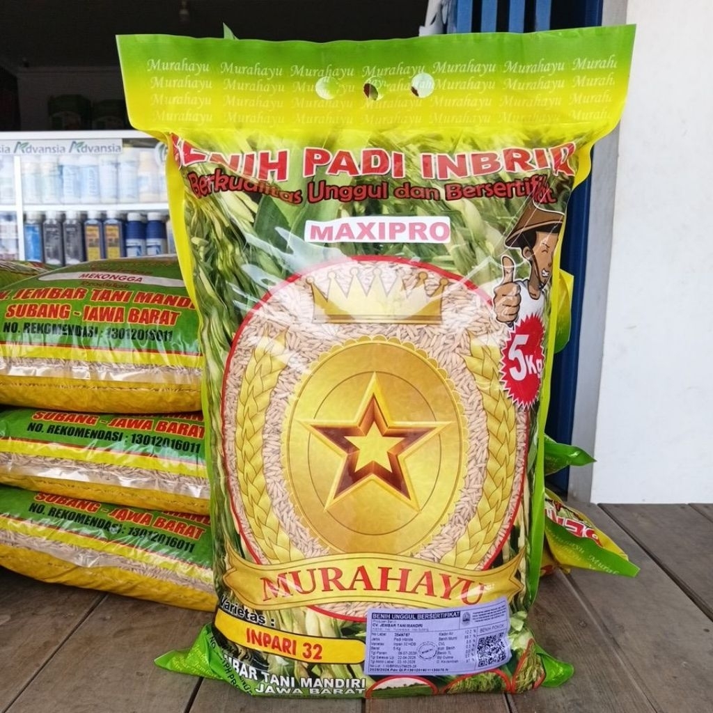 BIBIT PADI MAXIPRO INPARI 32 HBD - 5 KG BENIH UNGGUL BERSERTIFIKAT