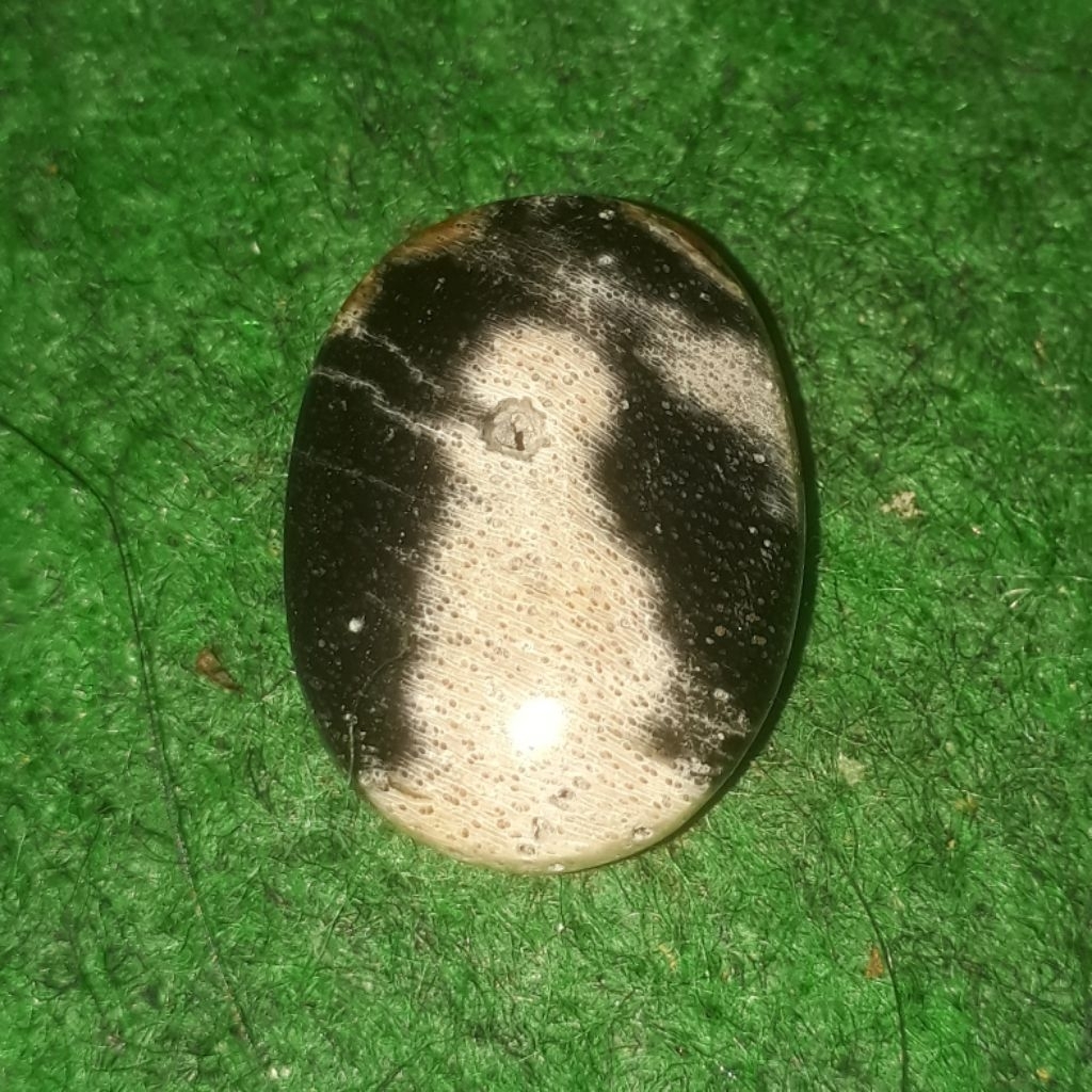 batu kelor combong kecil bungkem