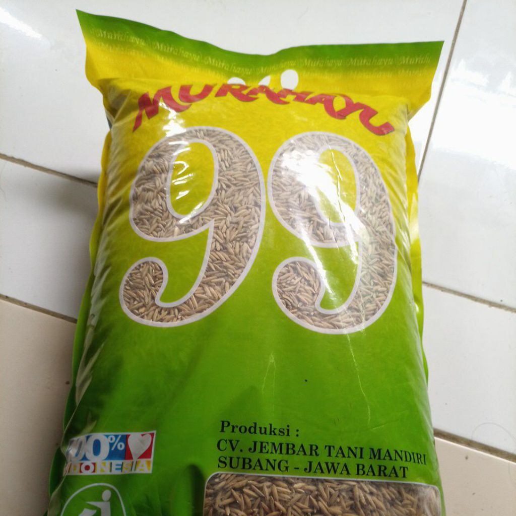 Benih padi IR64 GENCER original