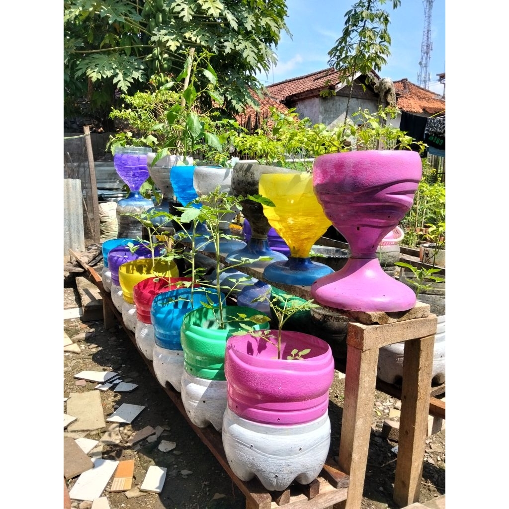 pot tanaman elegan dari galon bekas estetik