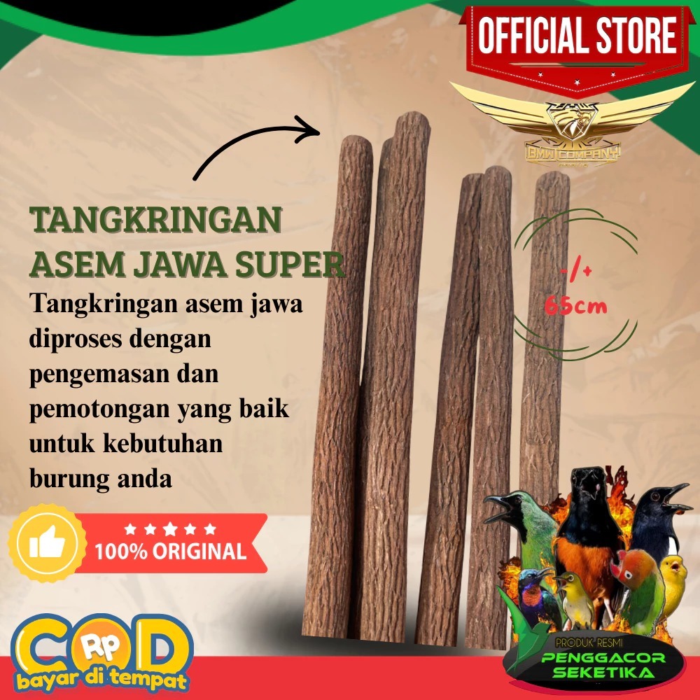 PENGGACOR SEKETIKA- 1020096 - 5pcs Tangkringan Asem Jawa Asli Pangkringan Kayu Asem Jawa
