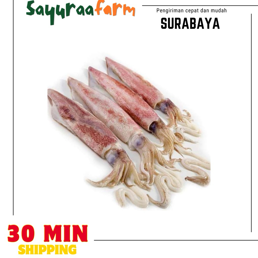 Cumi cumi fresh - cumi tinta hitam fresh 250gr