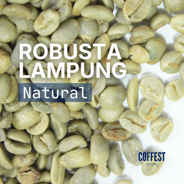 [GREEN BEAN] Robusta LAMPUNG Natural 1kg | Grade 1 Biji Kopi Mentah Espresso Blend Base