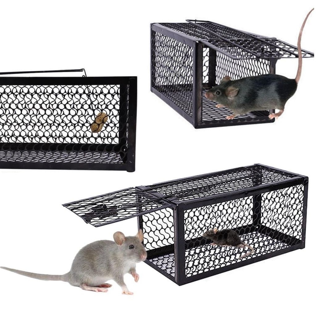 Jebakan Tikus Besi | Perangjap Tikus Besi | Paling Ampuh | Jebakan Tikus TAFFHOME Super Ampuh