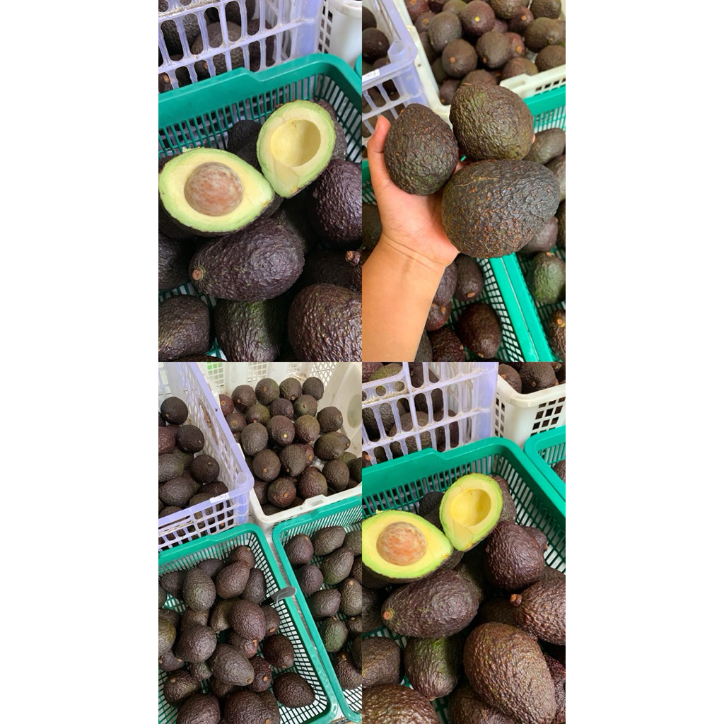 ALPUKAT HASS 1KG