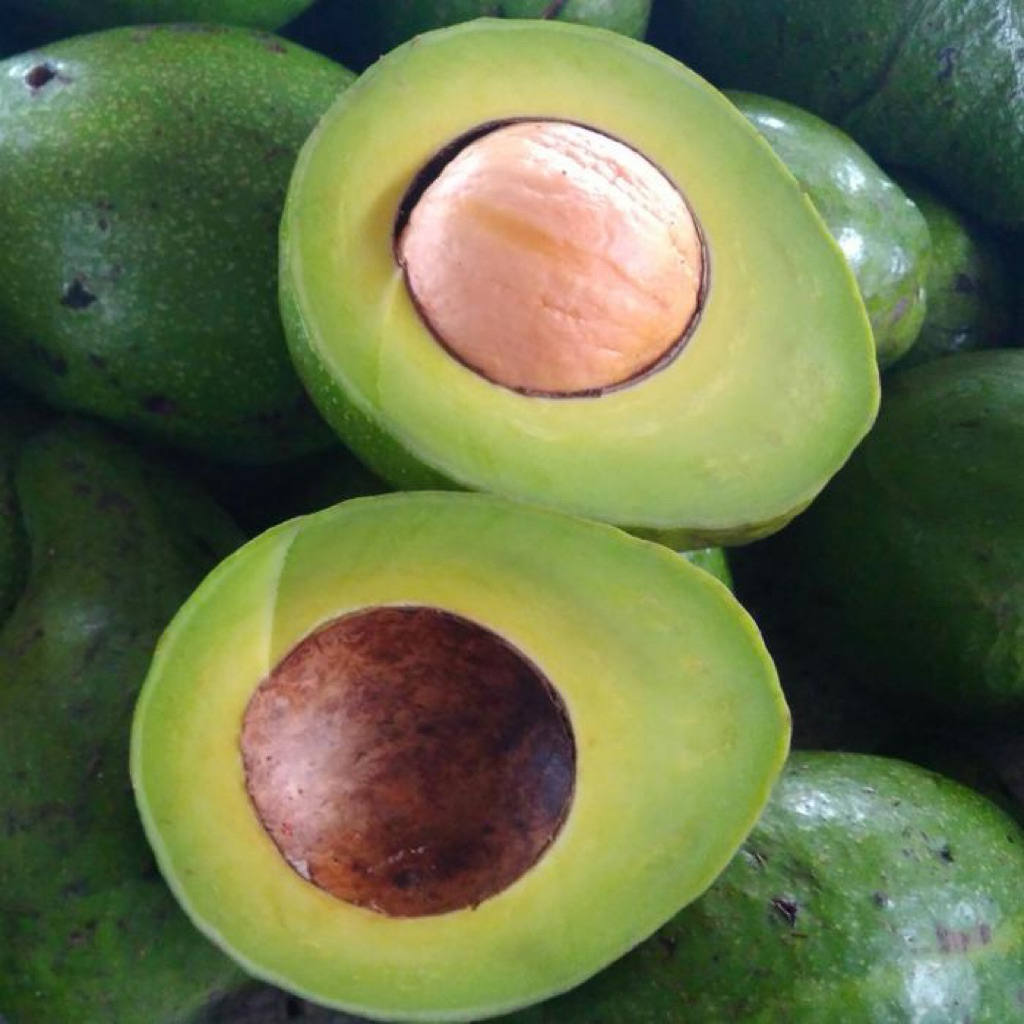 Alpukat Mentega padang 1 kg