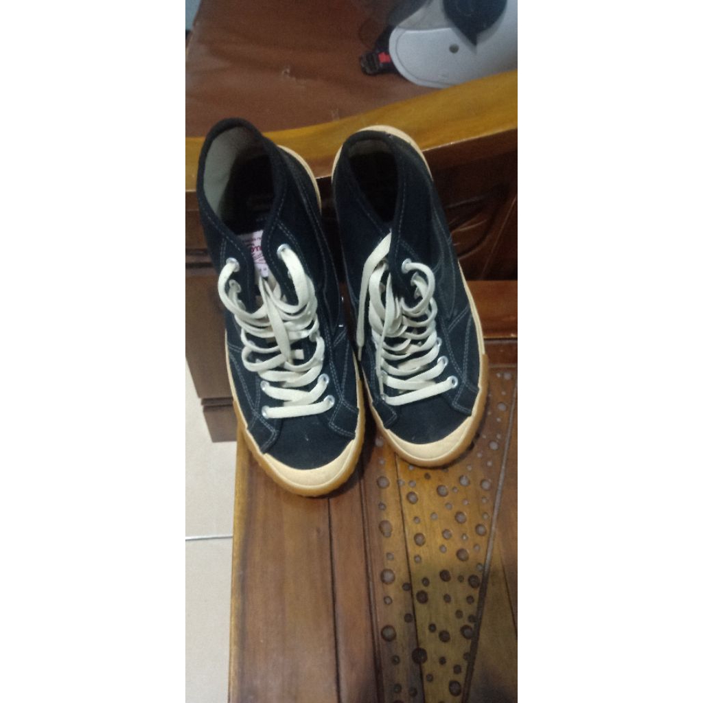 compass gazelle