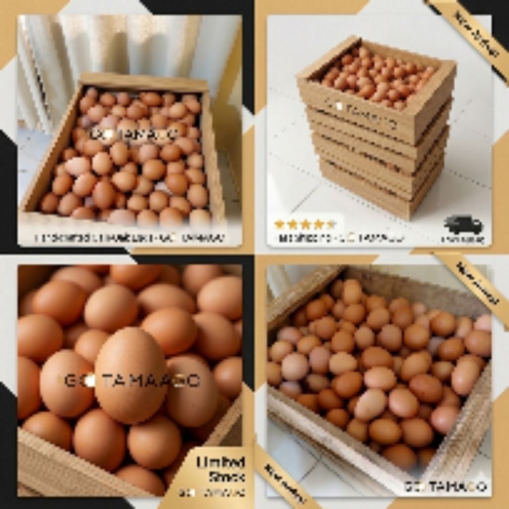 Telur 1 krat