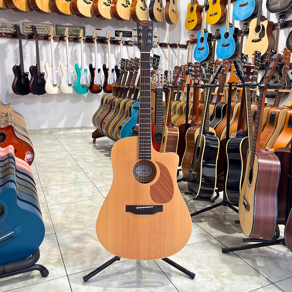 Gitar Original Lesley RM 20-DC Lesley RM20AD Lesley RM20DC RM20AC Beli Gitar Original Lokal Aja