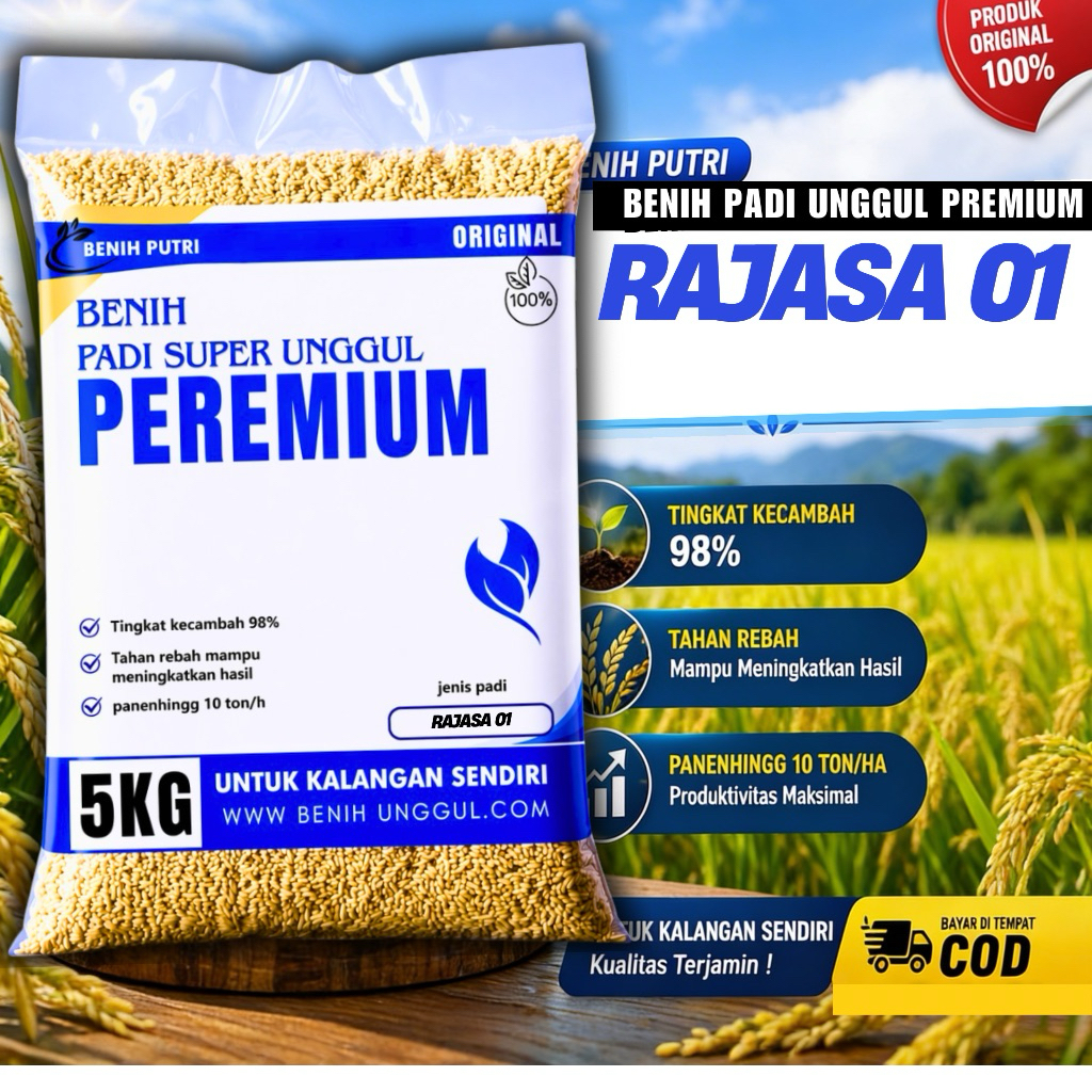 benih padi Rajasa 01 original asli