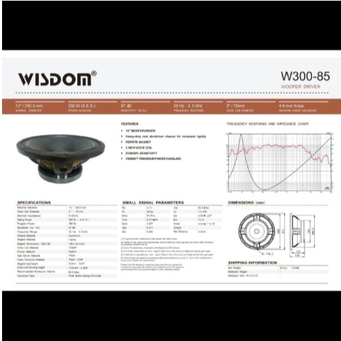 Speaker Wisdom 12 INCH W300-85 ORIGINAL
