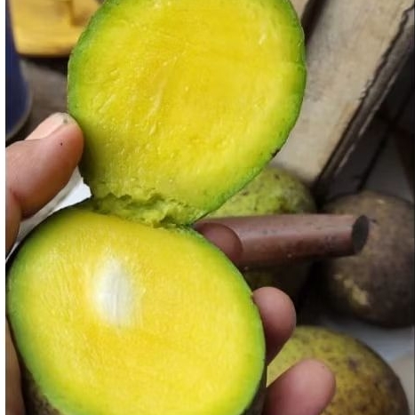 COD buah limus / buah pakel / buah bacang 1kg