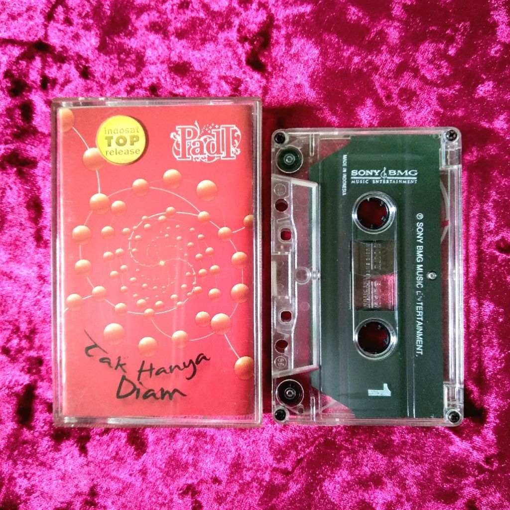 Kaset Padi - Tak Hanya Diam