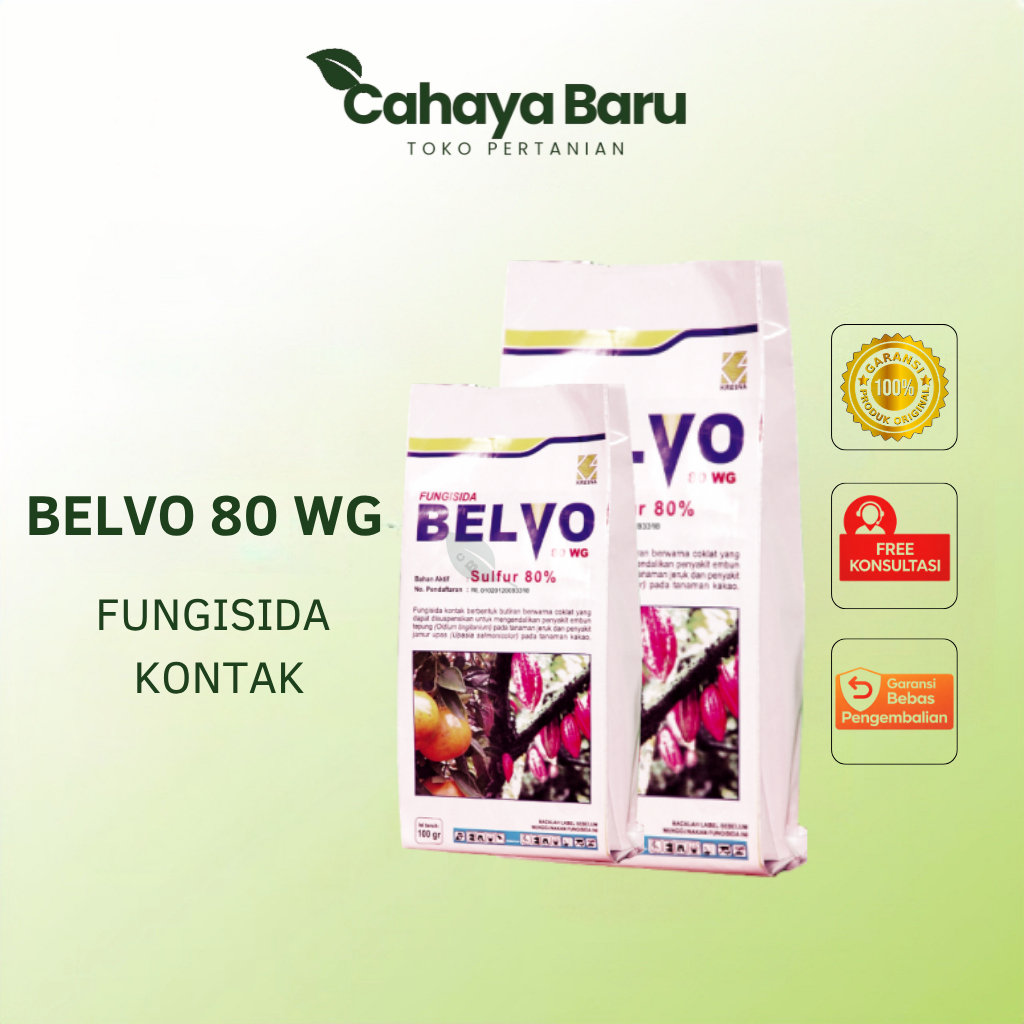 Fungisida Belvo 80 WG