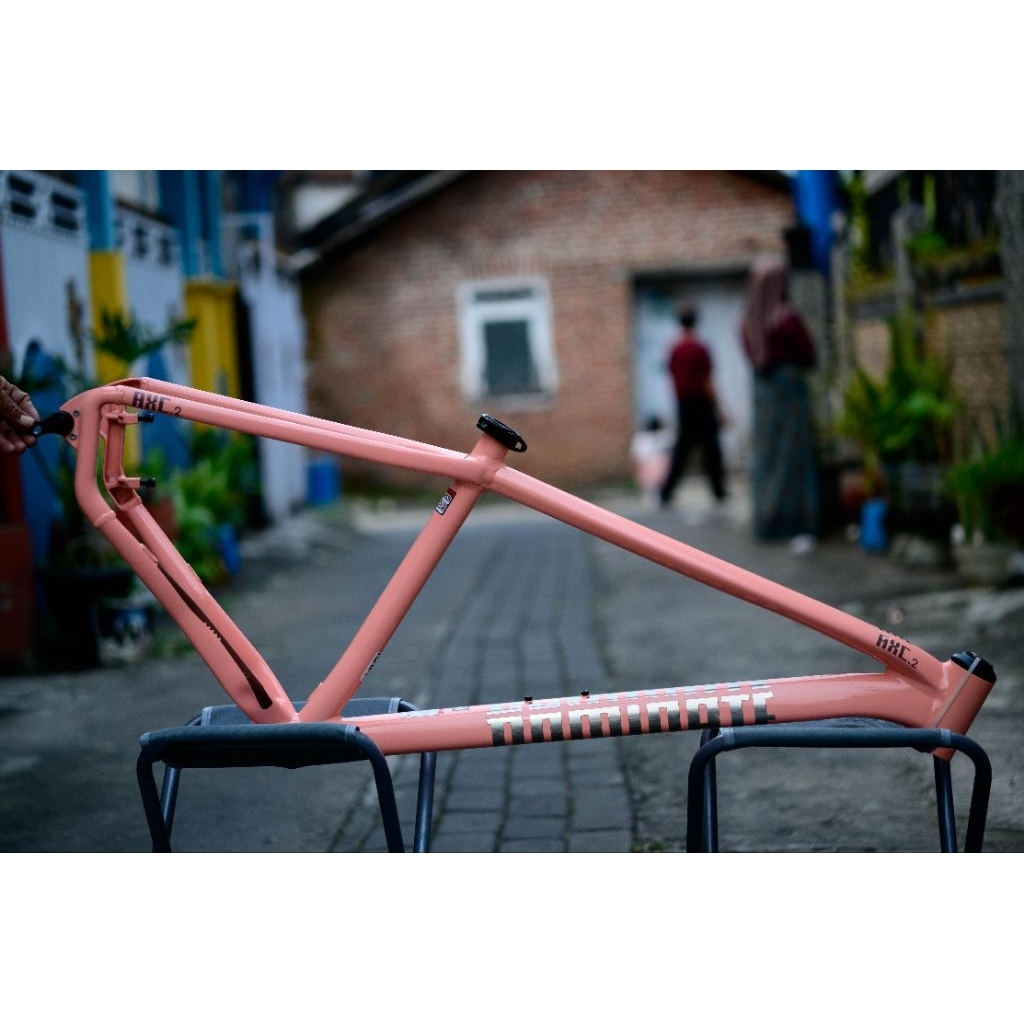 Frame Dominate AXC 2 Elite M 29er