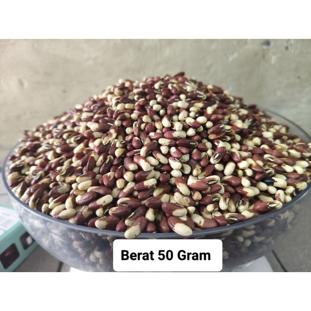 Benih kacang panjang merah putih super 50 gram orian langsung dari petani