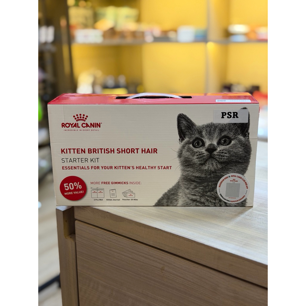 Royal Canin BSH Kitten Starter Kit