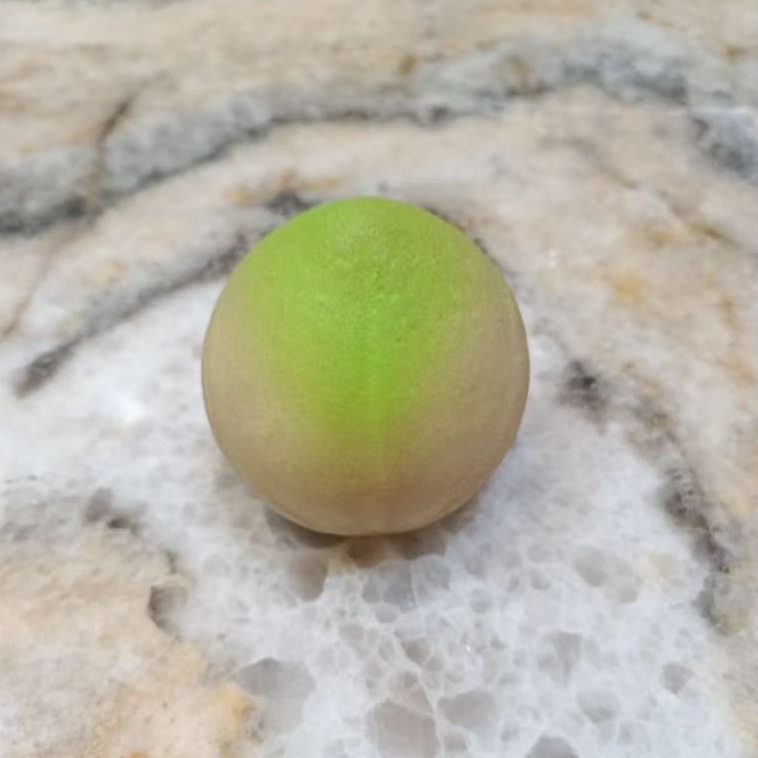 Preloved Mini Squishy Peach