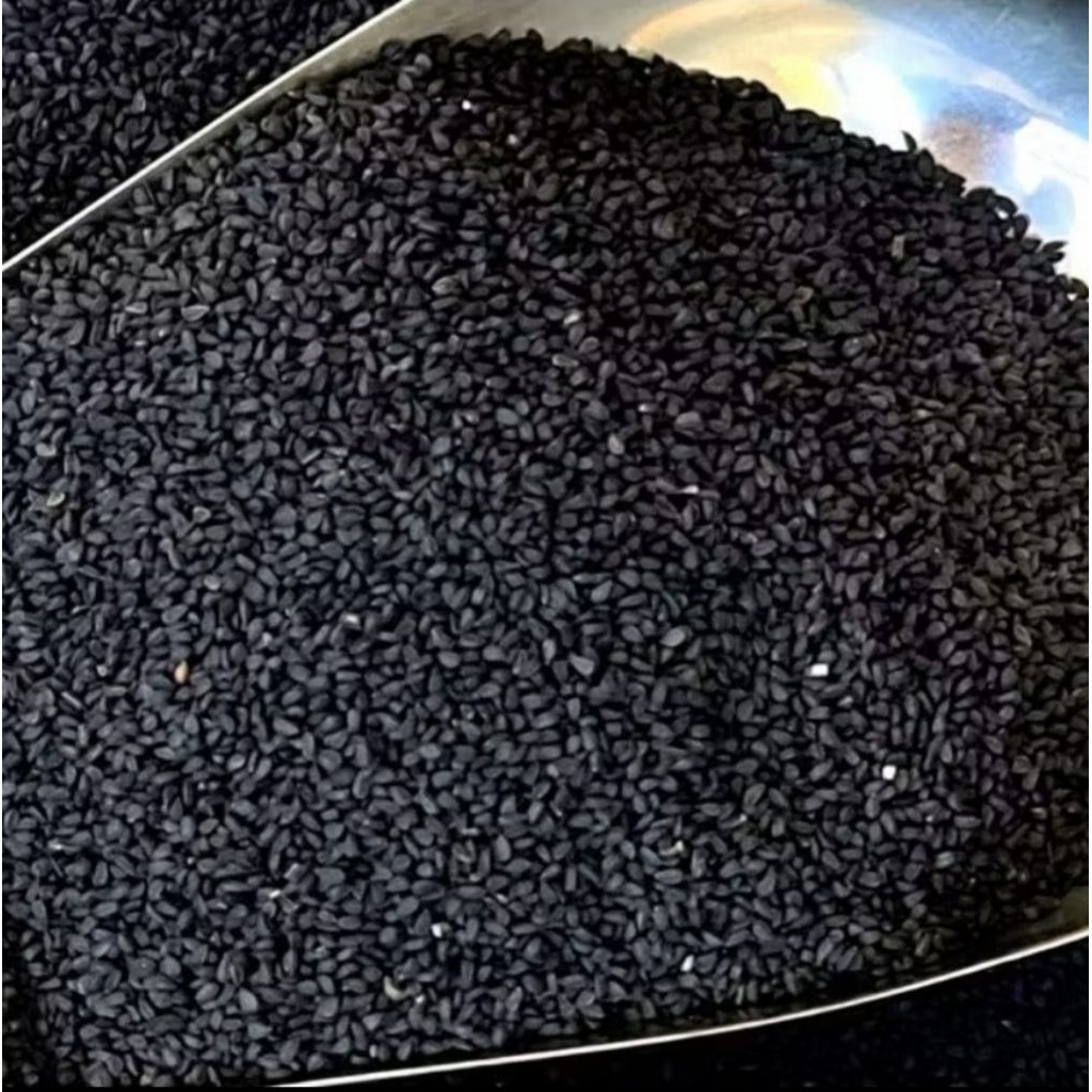 Biji Jintan Hitam Asli 100gr - Habbatussauda