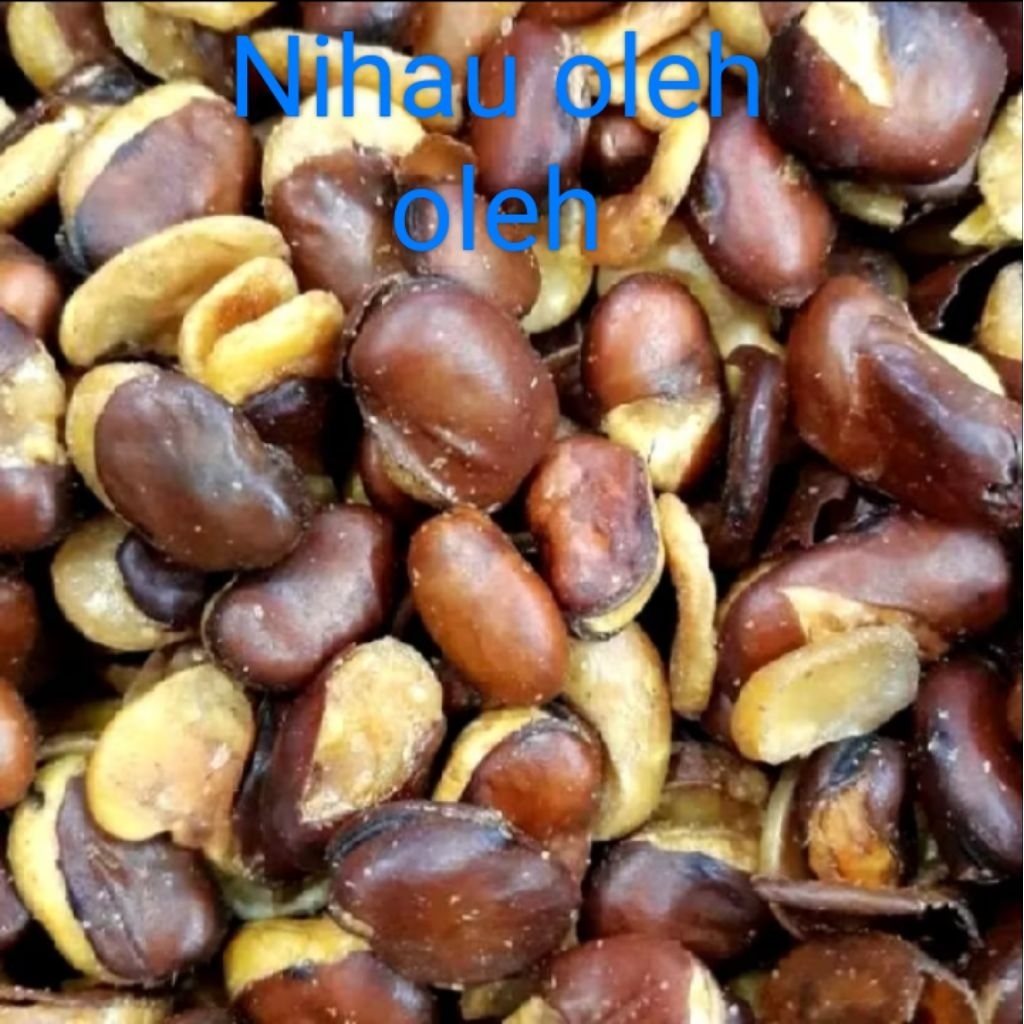 KACANG KORO | KORO KULIT/KACANG KORO KULIT ASIN