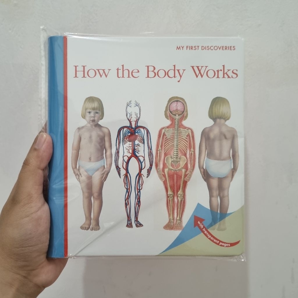 MFD HOW THE BODY WORKS