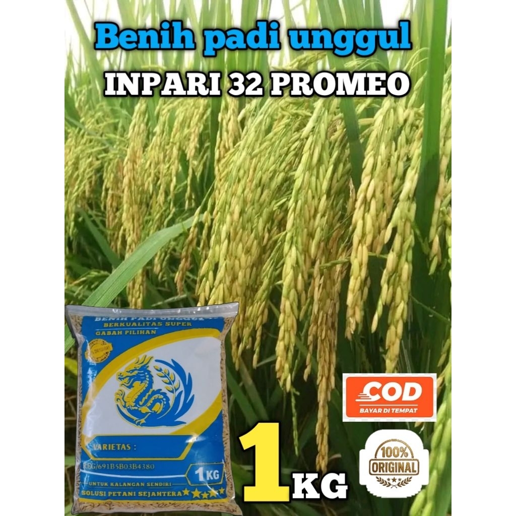 PADI INPARI 32 PROMEO 1kg