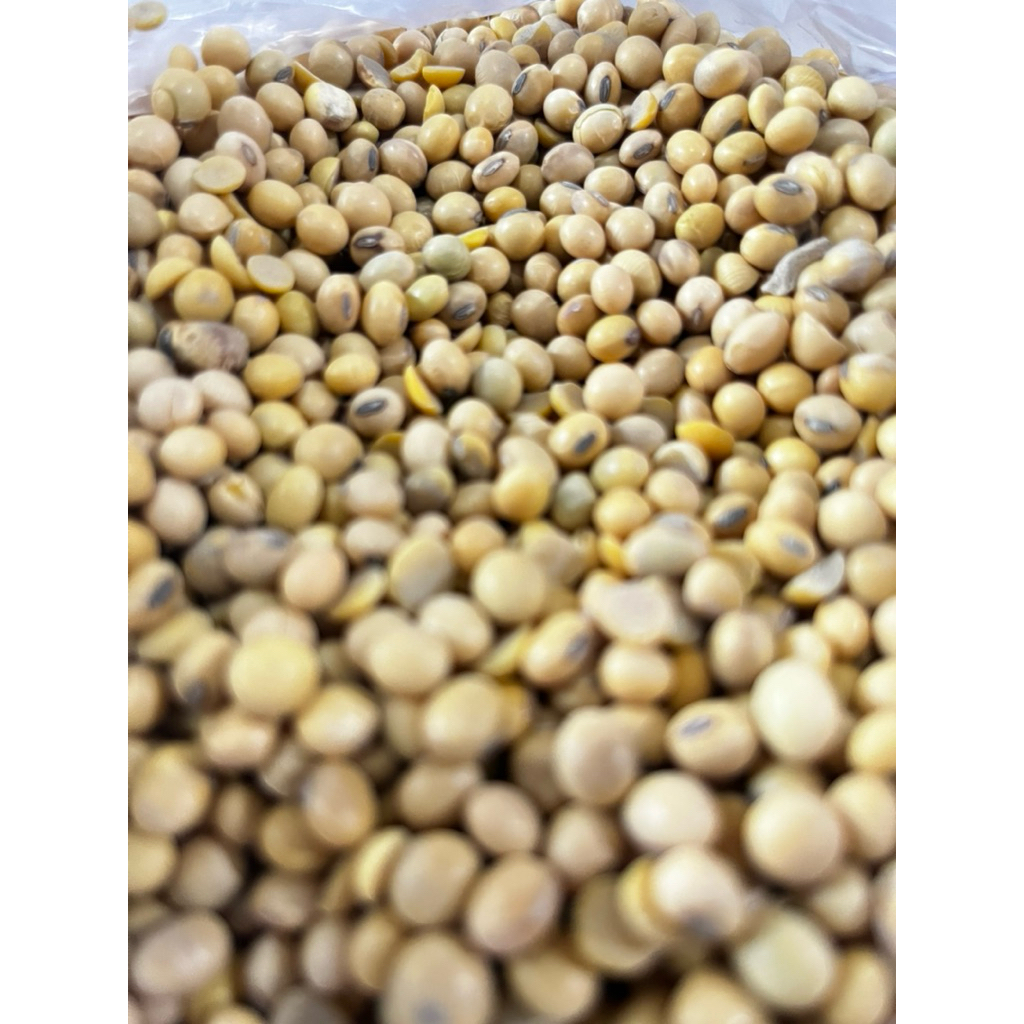 Kedelai 1 kg import, super