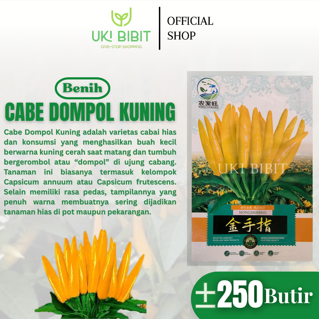 Kemasan Original | Benih Biji Cabe Dompol Kuning | Cabe Mahkota Jepang | Cabe Kuning Cluster