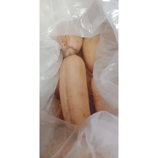 Sayur Segar Akar Teratai Lengau Lotus Root Rengkong 400 - 500 gr