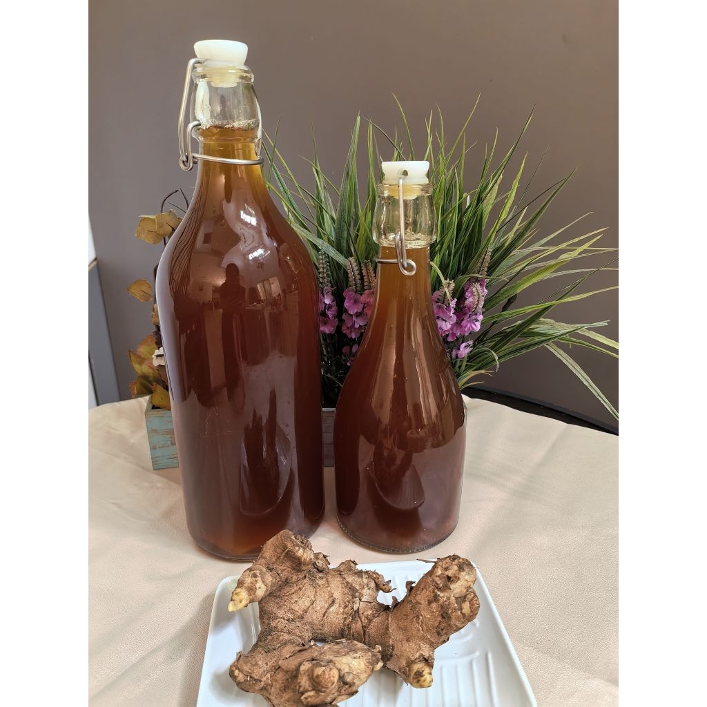 Minuman (Kombucha)  / Minuman Probiotik/ Minuman Kesehatan / Kombucha Kunyit Sereh / Kombucha Apple 