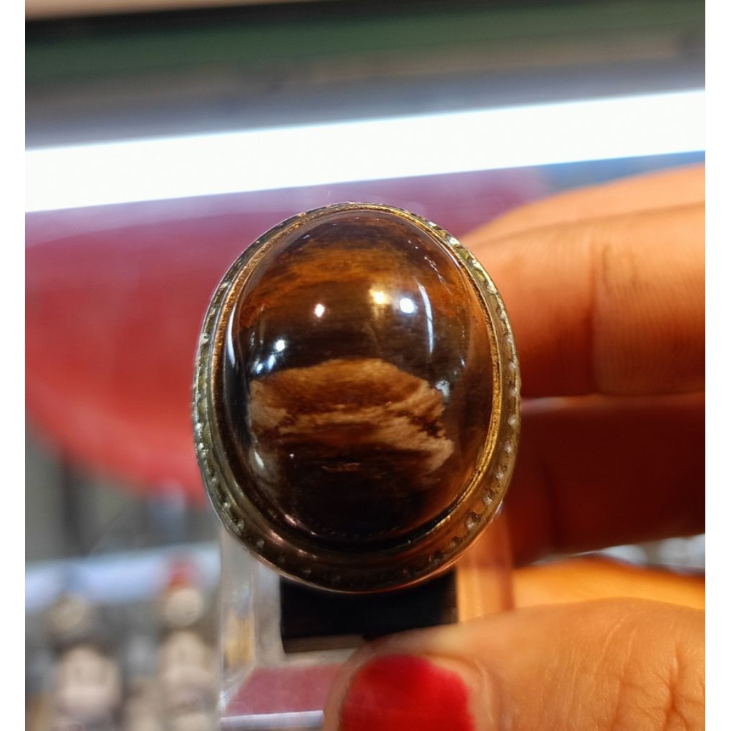 Cincin Fosil kelor (natural)