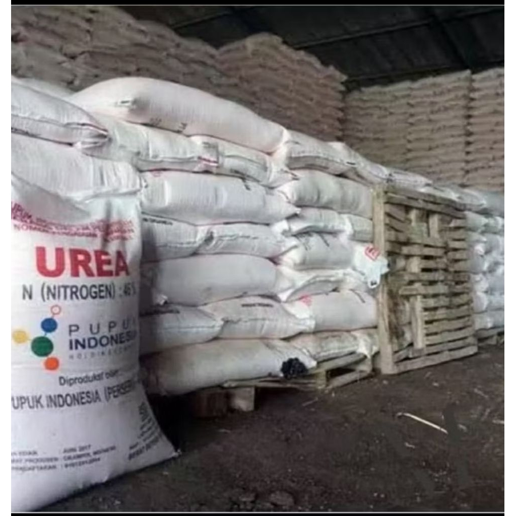 pupuk urea 50 kg asli kualitas terbaik