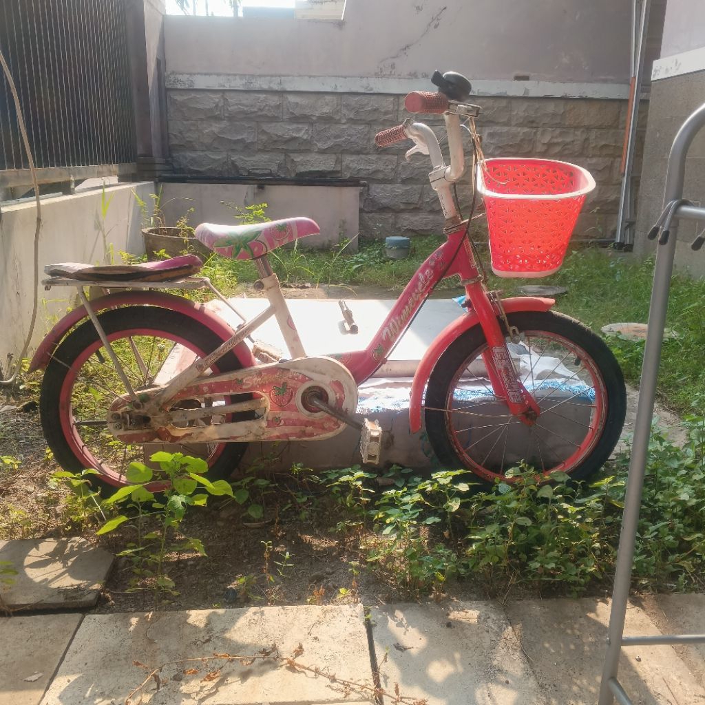 Sepeda wimcycle 16 inch bekas