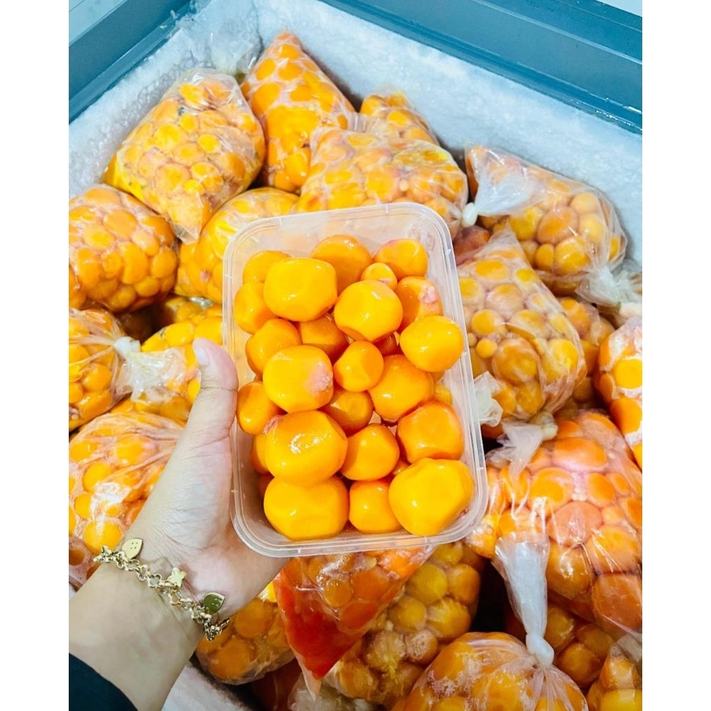 URITAN TELUR MUDA