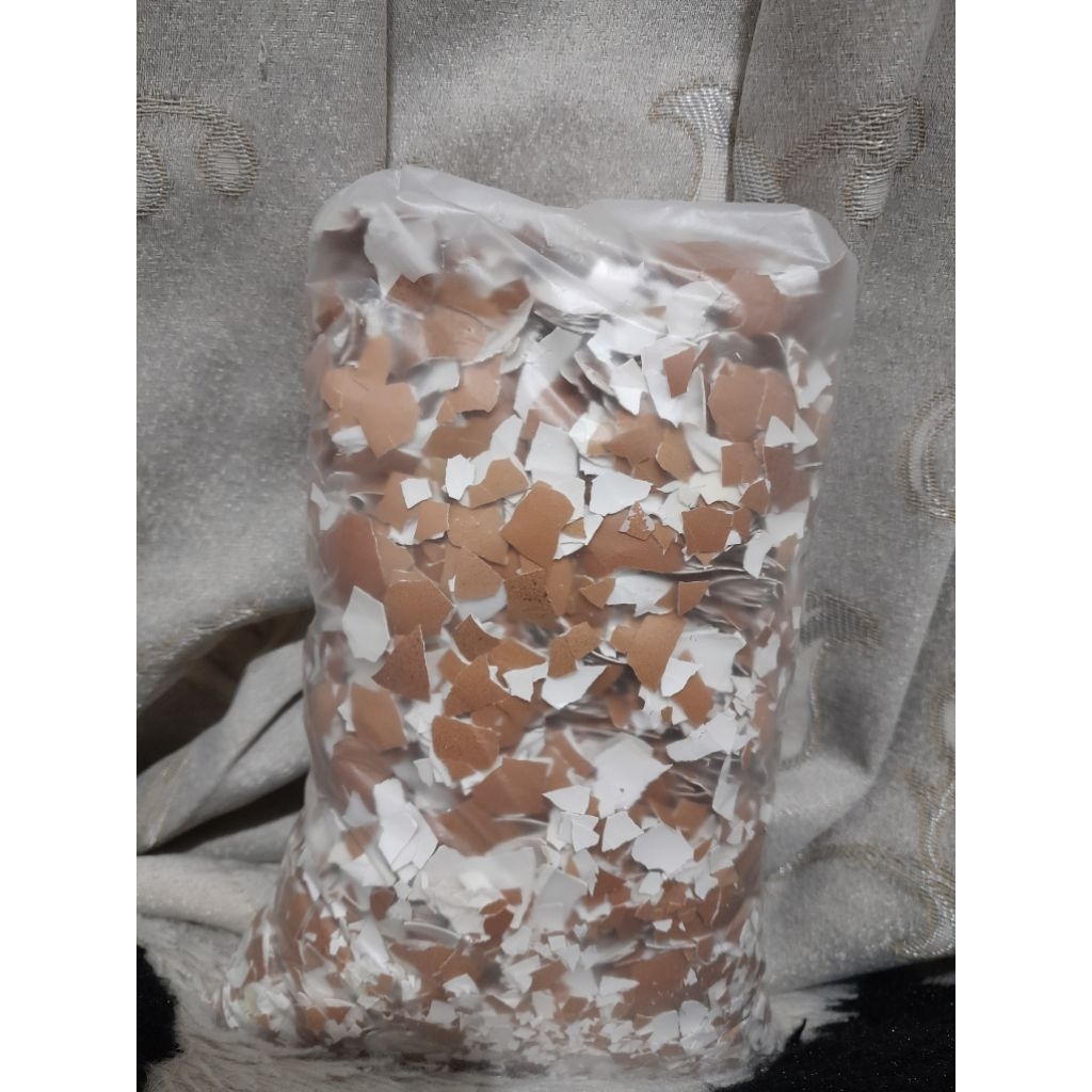 cangkang telur 1kg