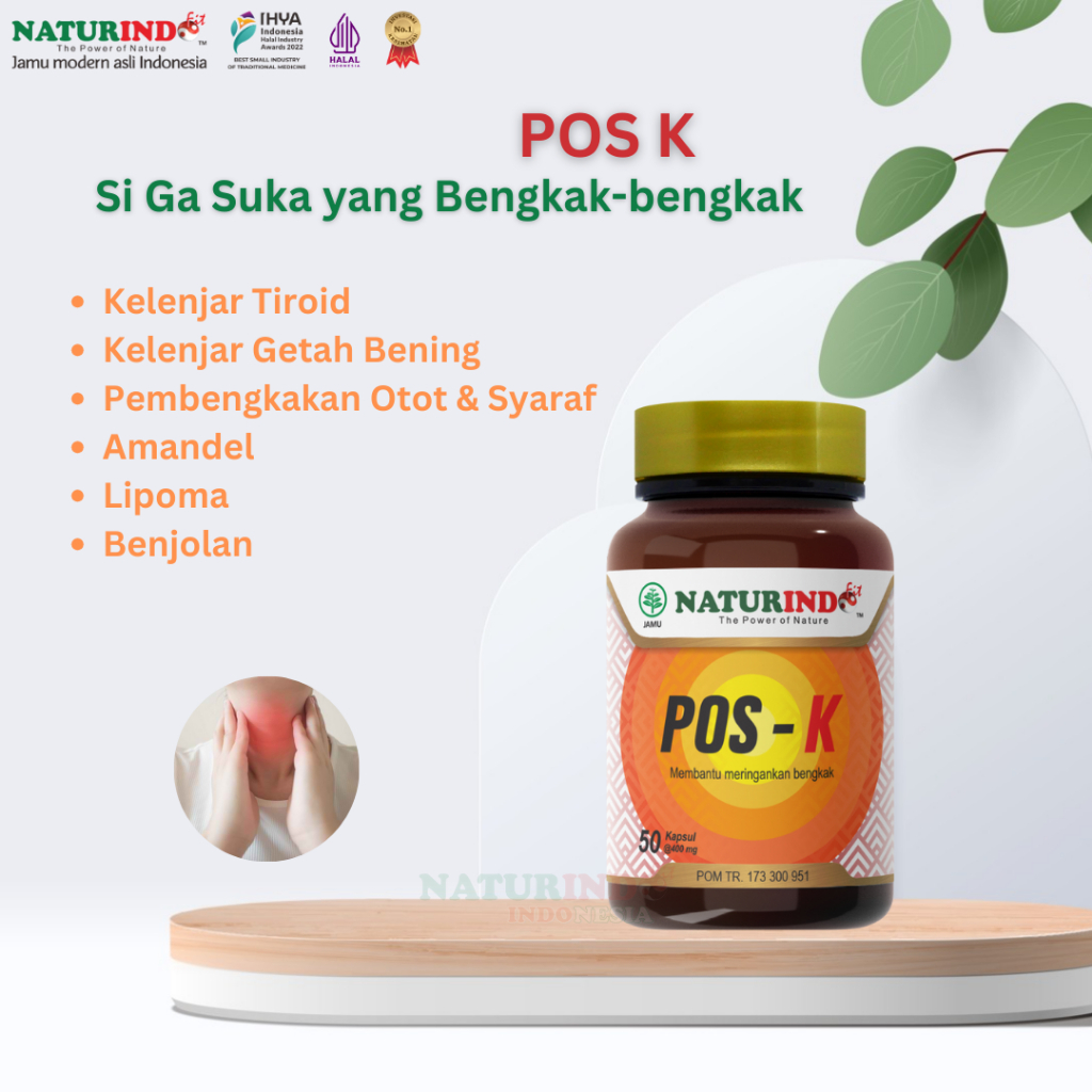 Naturindo Pos - K