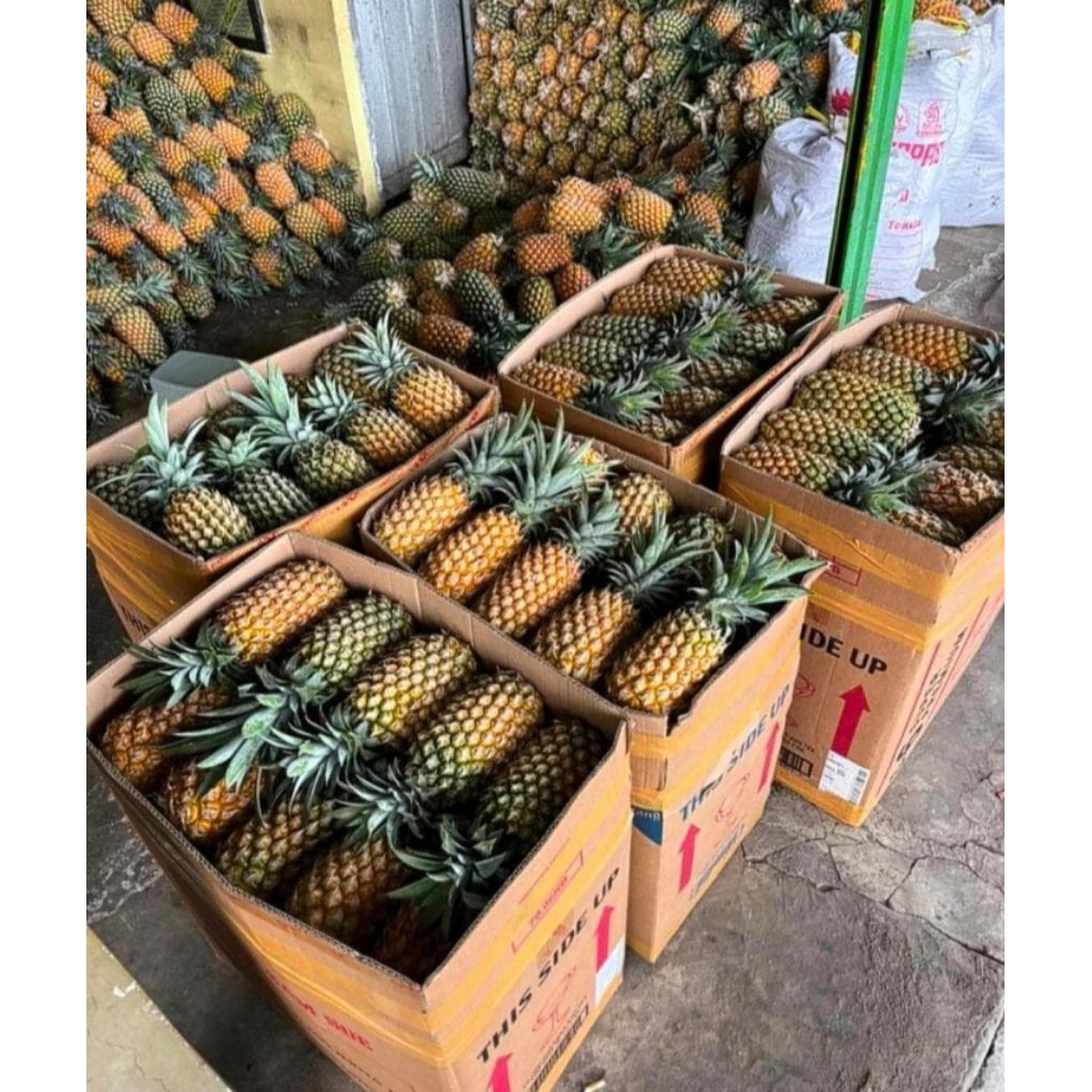 Product One